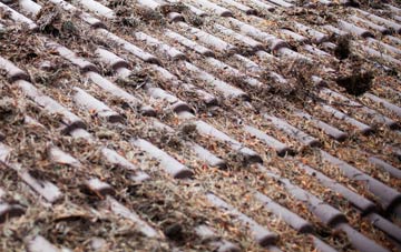 Macclesfield Forest roof cleaning companies